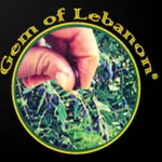 Gem Of Lebanon - Olive Oil icon