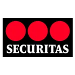 Launcher MDM Security icon