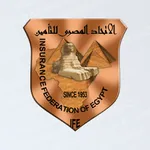 IFE Microconference icon