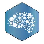 DSS for vaccination icon