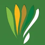 VitalGroup icon