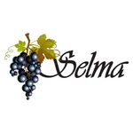 Selma Auto Mall Connect icon