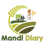 Mandi Diary Merchant icon