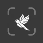 Bird Identifier - BirdSnap icon