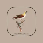 Jalak HD Wallpaper icon