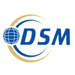 DSM-Absen icon