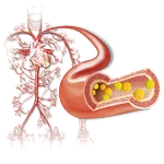 Enfermedad Cardiometabólica 3D icon
