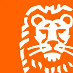 ING InsideBusiness icon