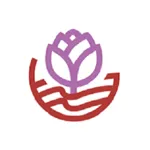 SDF Vidya icon