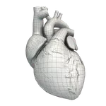 VOKA Pathology 3D icon