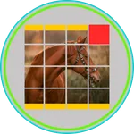 Innooo Puzzle Game icon
