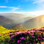 Spring Season Video Wallpaper icon