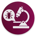 Insects Under Microscope icon