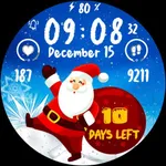 Christmas Santa CountDown 2024 icon