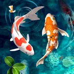 Koi Fish Live Wallpaper 4k icon