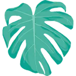 RIPE icon
