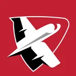 Lewis Flyers icon