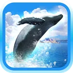 REAL WHALES Find the cetacean! icon
