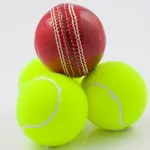 Cricket Challenge! 24by7exams icon