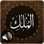 Surah Mulk Audio icon