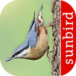 Bird Id - British Birds icon