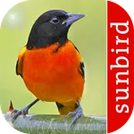 Bird Id North America icon