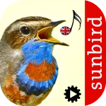 Bird Song Id: Auto Recognition icon