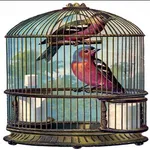 Bird cage icon