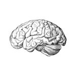 Grand Jeux Challenge icon