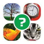 Word Quest: 4 Images 1 Answer icon