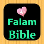English Falam Audio Holy Bible icon