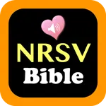 NRSV Audio Holy Bible icon