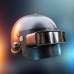 Guide for Weapons icon