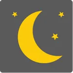 Light-Flashlight+Burn-in check icon