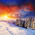 Winter Live Wallpaper HD FREE icon