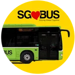 Bus Stop SG (SBS Next Bus) icon