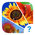 4 clues: word search game icon