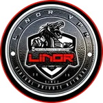 Linor VPN 2.0 icon