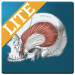 Muscle Memory Lite icon