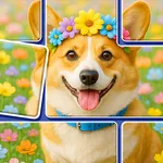 Jigdom: Jigblock Puzzle icon