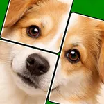 Jigmagic Solitaire Puzzle icon
