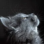 Cats jigsaw puzzles kittens icon