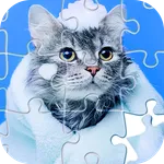 Jigsaw Puzzles, HD Puzzle Game icon