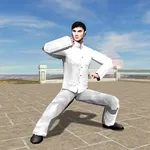 3D Baji Quan icon