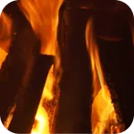 Open Fire – Full Version icon