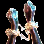 King James Version + Apocrypha icon