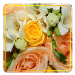 Yellow Rose icon