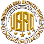 UBRO User Register icon