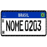 License Plate / Placa de Carro icon