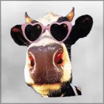 Super Silly Ringtones icon